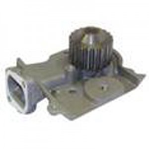 901302802  505960579