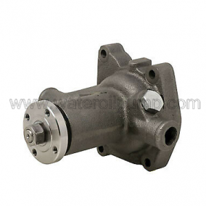 Water Pump Used For 62010615